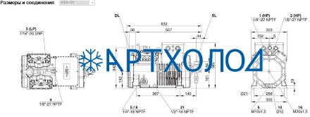 Компрессор 4TES-12Y (LBP/MBP/HBP) Ecoline Bitzer