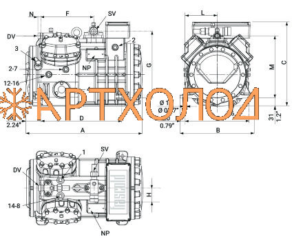 Компрессор Q5-28.1Y (R-404A, R-507, R-134a, R-407C LBP) Frascold